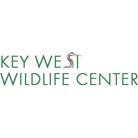 Key West Wildlife Center