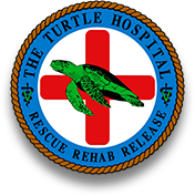 The Turtle Hospital
